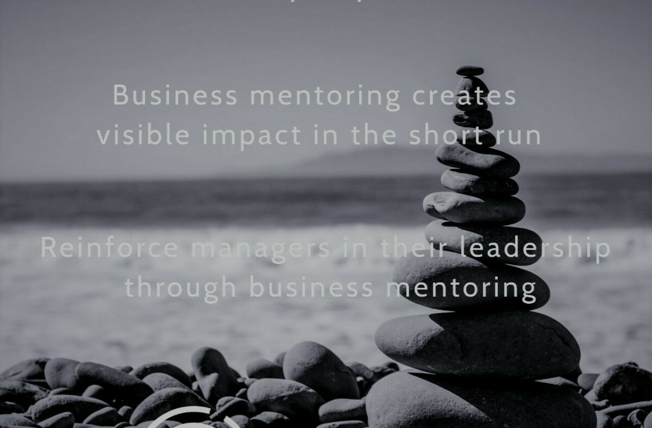 Business Mentoring is the way forward in leadership development